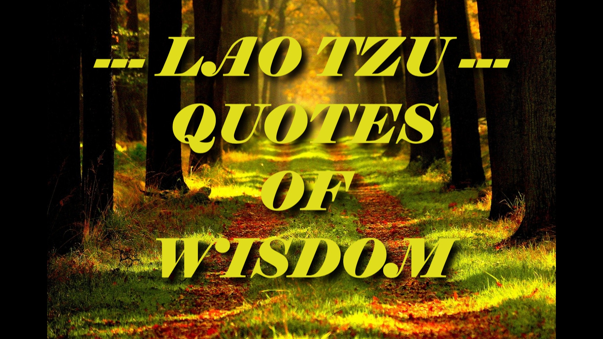 Lao Tzu Quotes of Wisdom - JIL GEAR