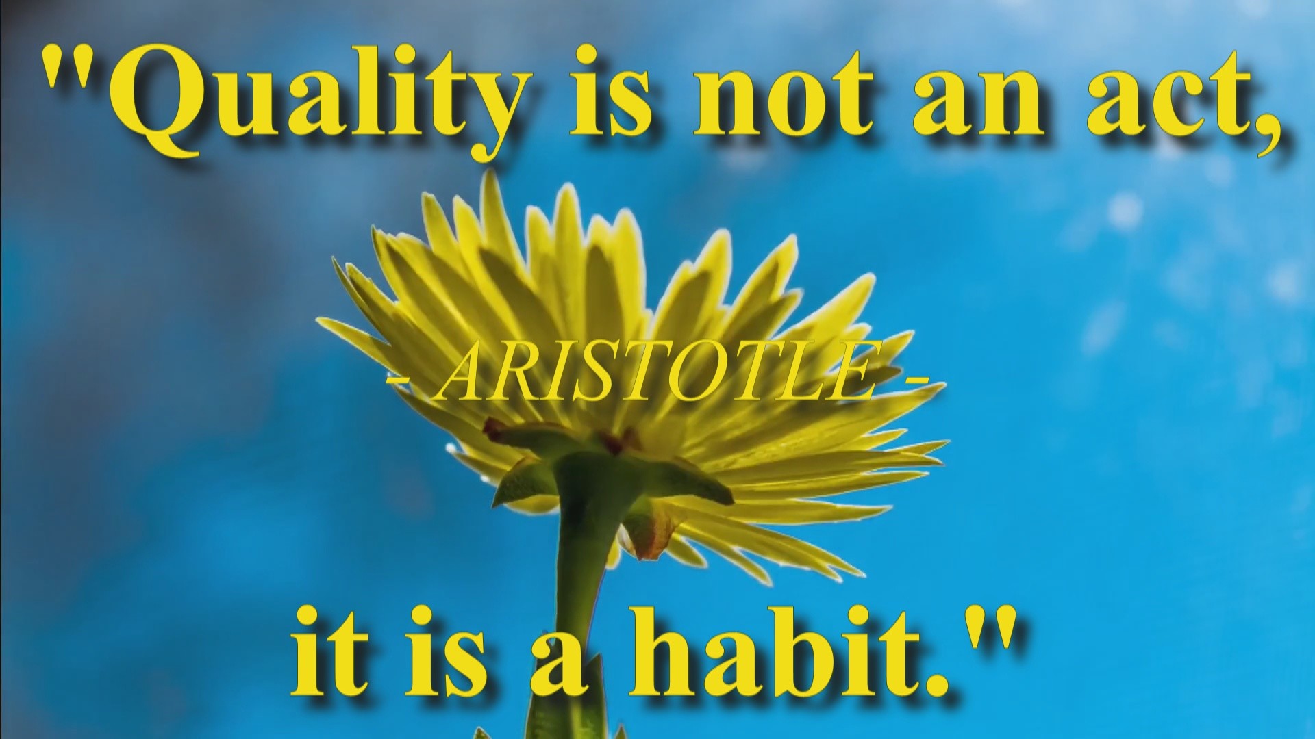 Quality is not an act - Aristotle